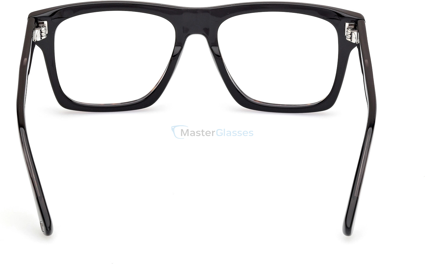  Web Eyewear WE 5450 056 55