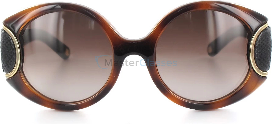 Солнцезащитные очки Salvatore Ferragamo 811sl-233