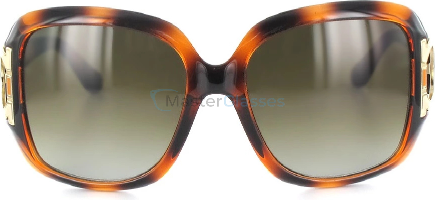 Солнцезащитные очки Salvatore Ferragamo 666s-238