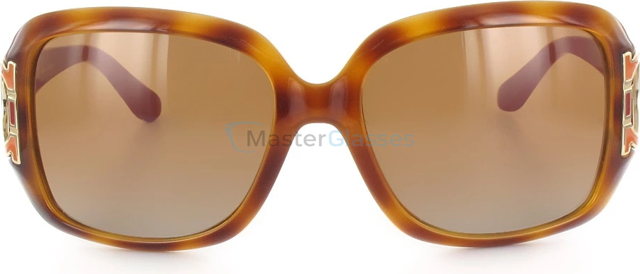 Солнцезащитные очки Salvatore Ferragamo 666s-218