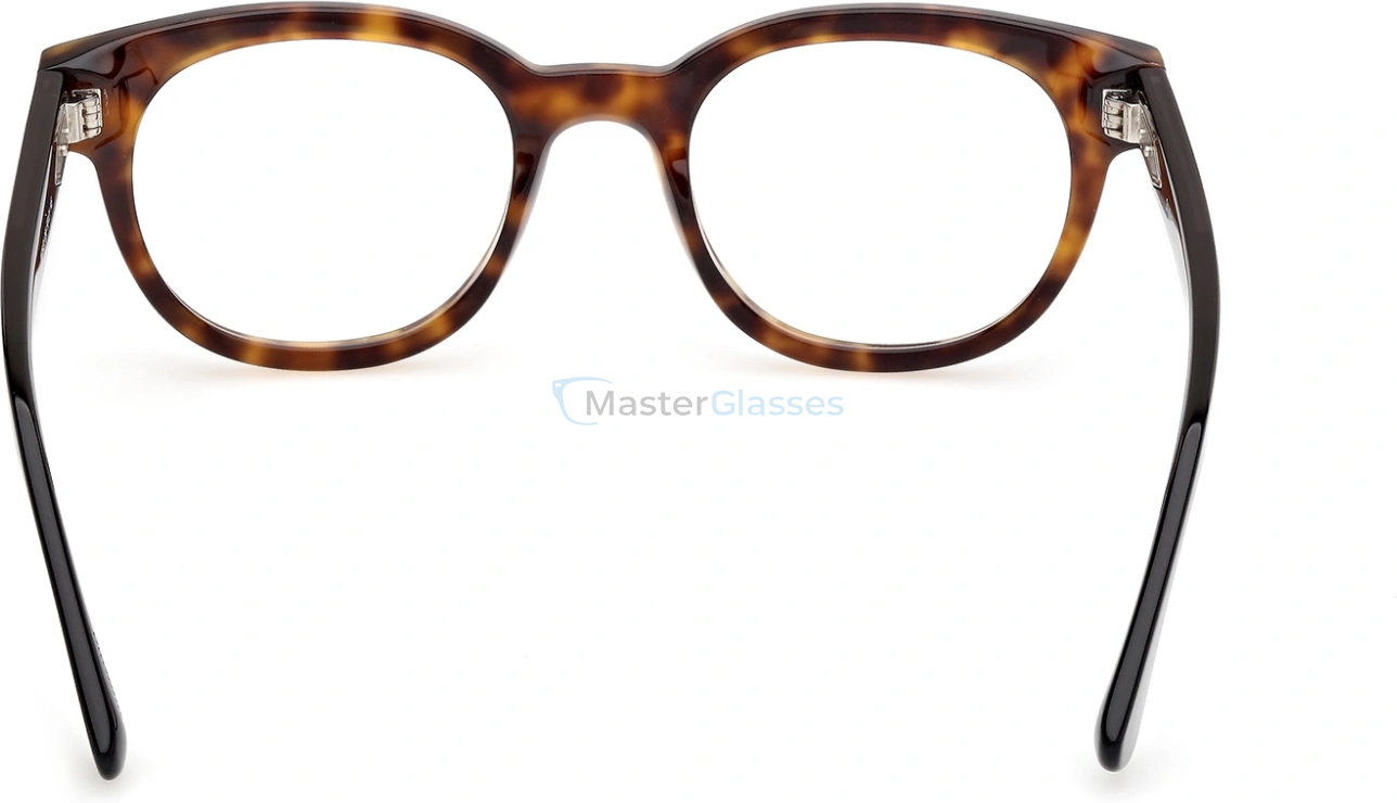  Web Eyewear WE 5431 056 50