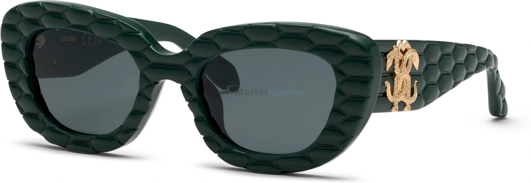   ROBERTO CAVALLI SRC058M 0D80,  SHINY FULL GREEN, SMOKE