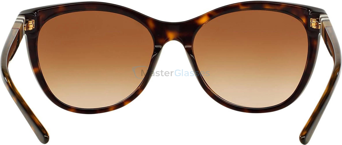 �������������� ���� Burberry BE4199 300213