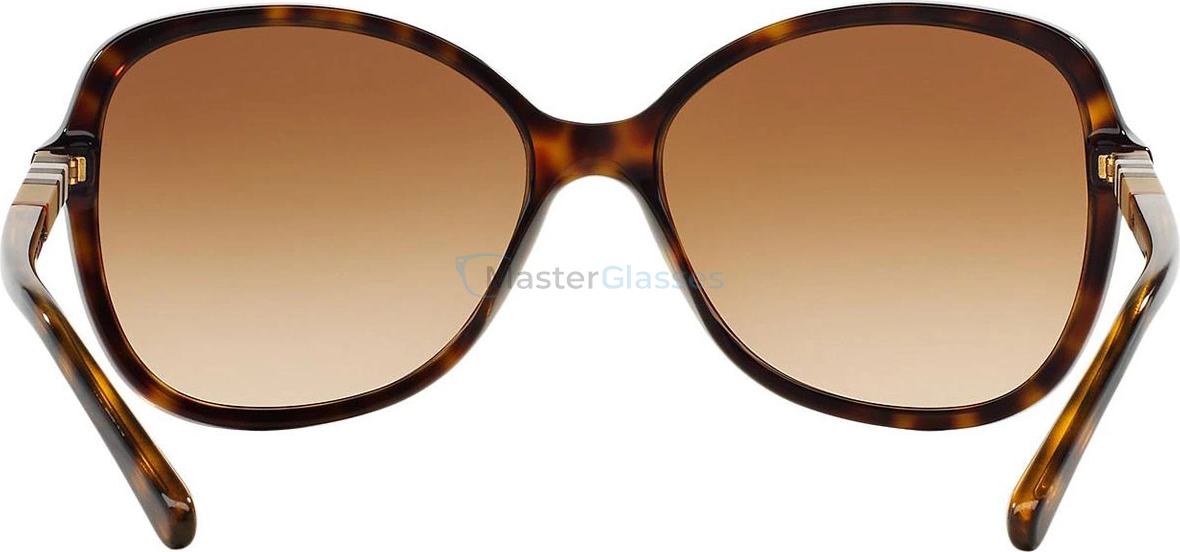Солнцезащитные очки Burberry BE4197 300213