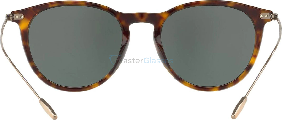 Солнцезащитные очки Giorgio Armani AR8108 502671