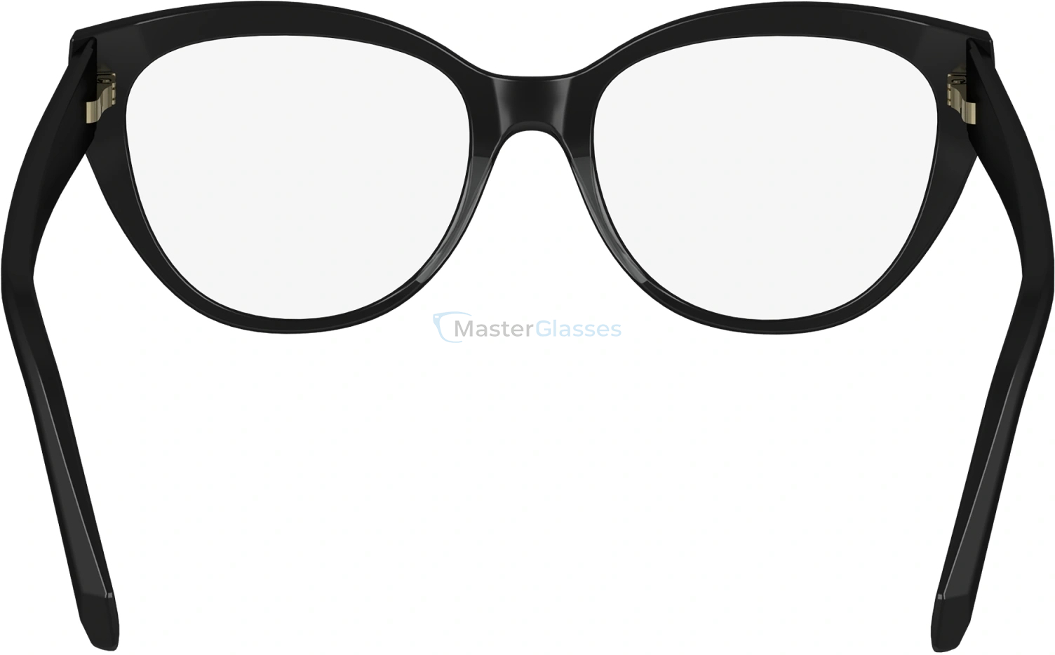  SALVATORE FERRAGAMO SF2970 1,  BLACK, CLEAR