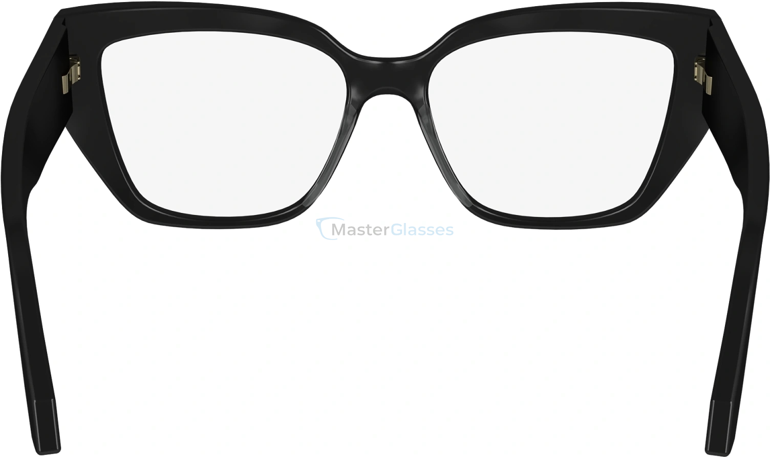  SALVATORE FERRAGAMO SF2972 1,  BLACK, CLEAR
