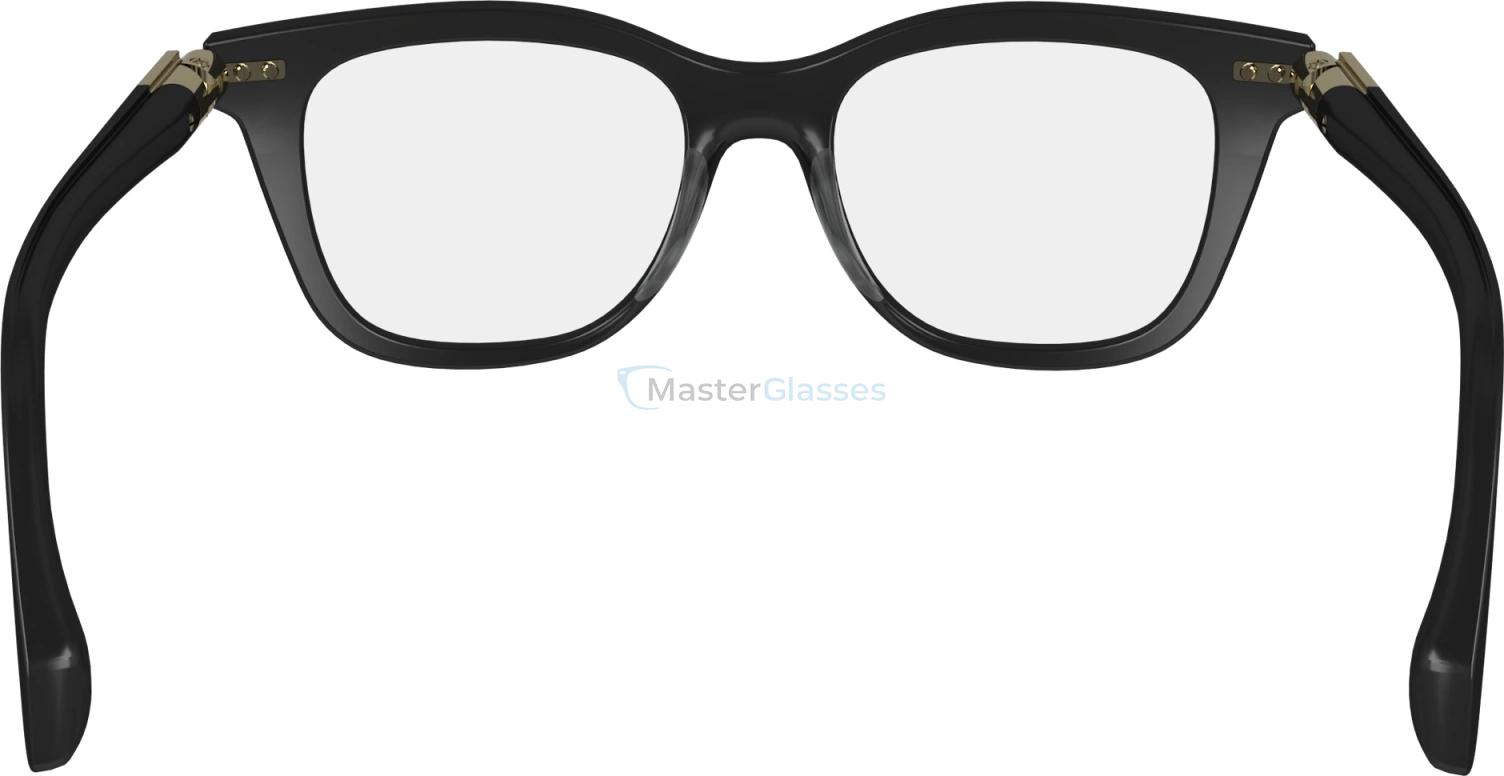  SALVATORE FERRAGAMO SF2973 1,  BLACK, CLEAR