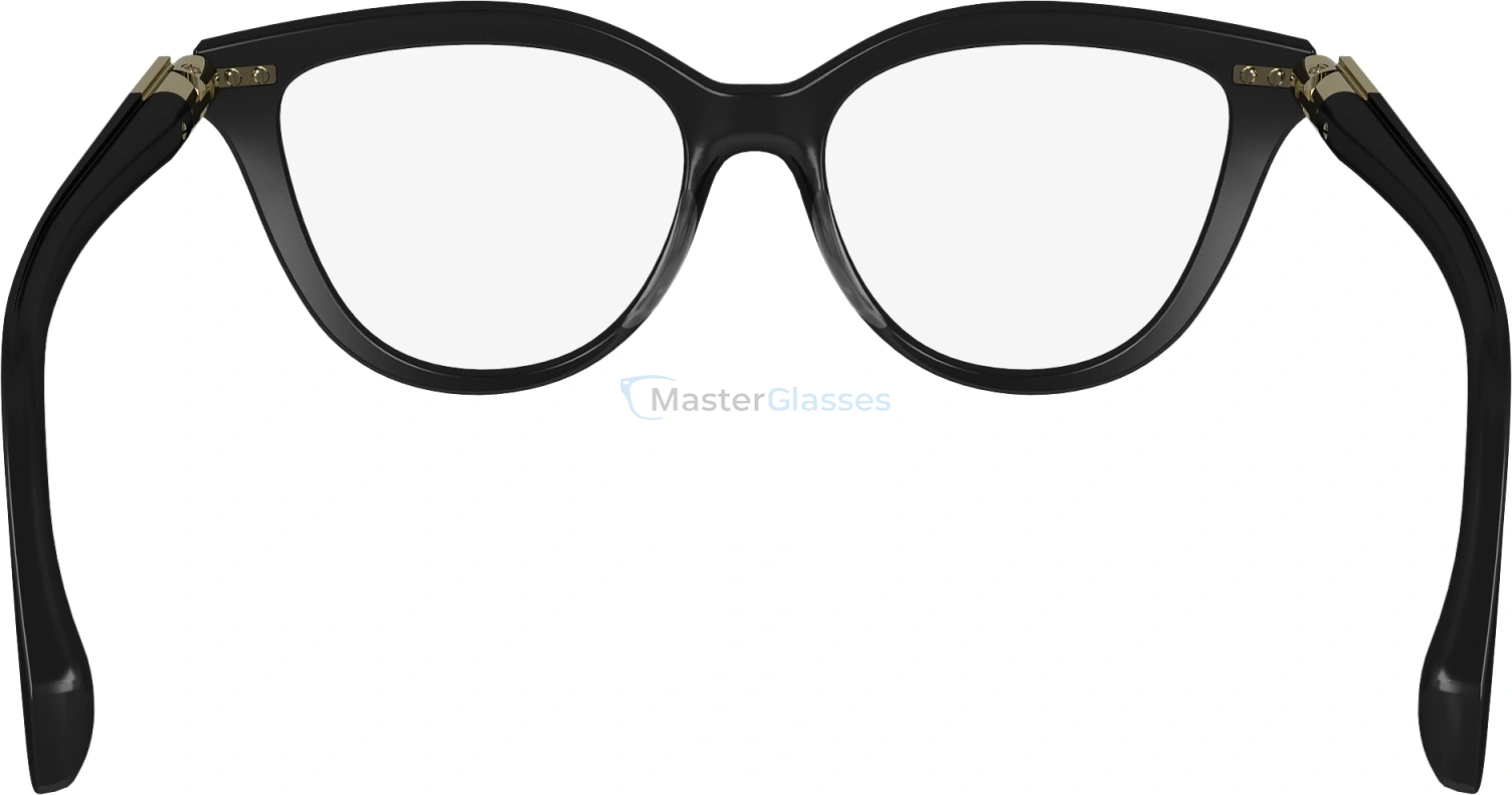  SALVATORE FERRAGAMO SF2974 1,  BLACK, CLEAR