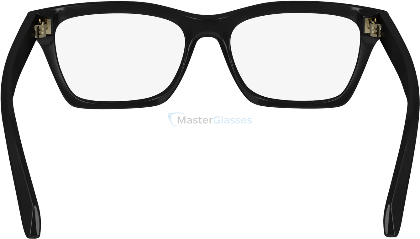  SALVATORE FERRAGAMO SF2986 1,  BLACK, CLEAR