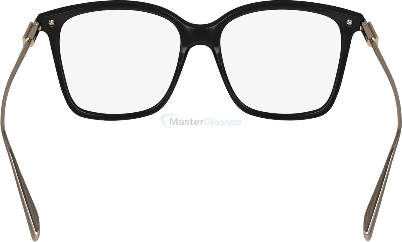  SALVATORE FERRAGAMO SF2992 1,  BLACK, CLEAR