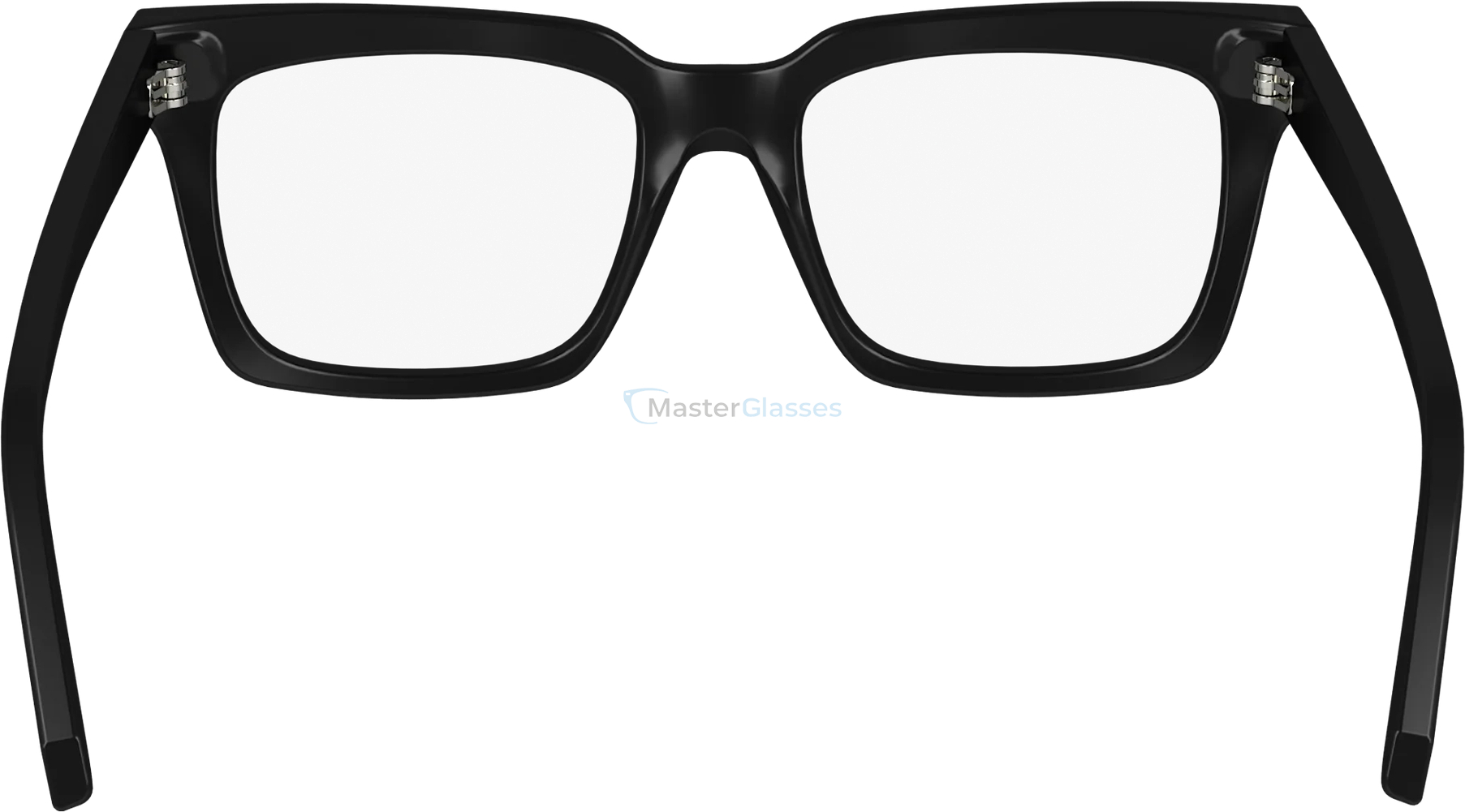  SALVATORE FERRAGAMO SF2993 1,  BLACK, CLEAR