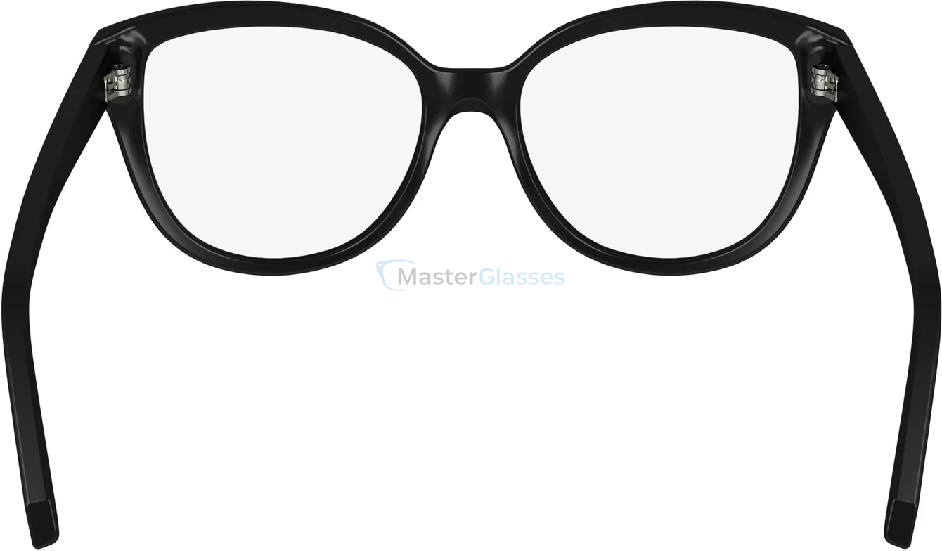  SALVATORE FERRAGAMO SF2994 1,  BLACK, CLEAR