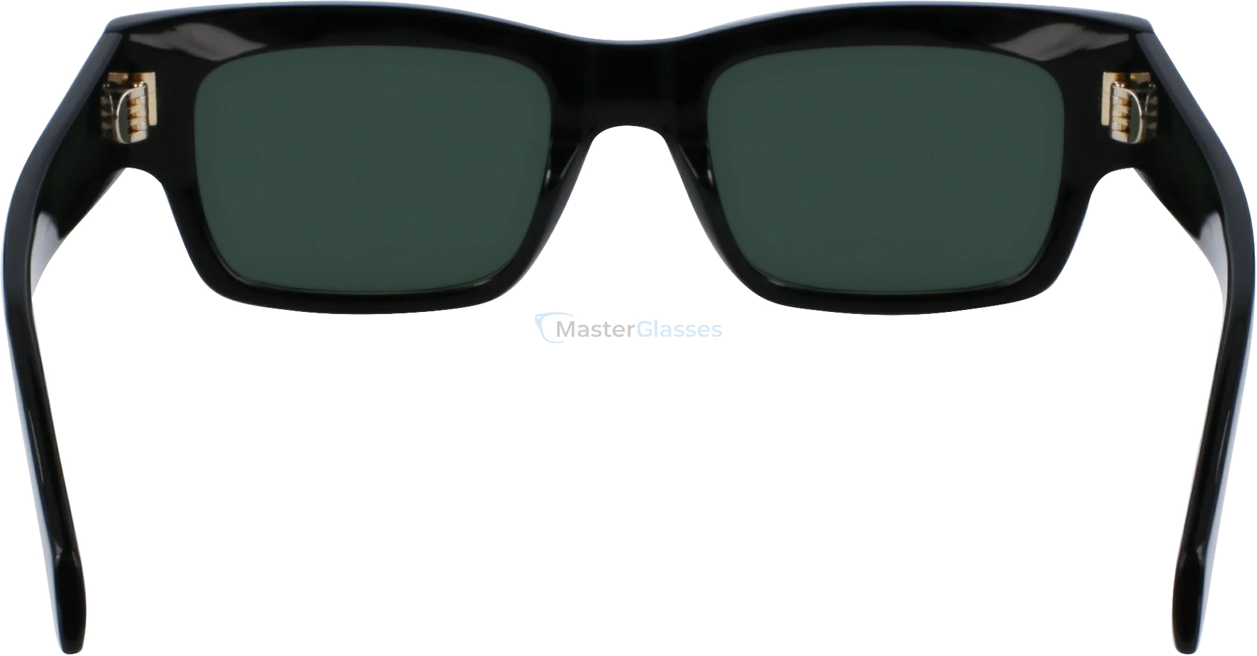   SALVATORE FERRAGAMO SF2011S 1,  BLACK, SOLID GREEN