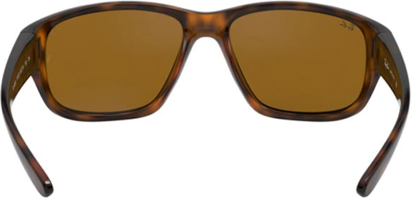   Ray-Ban RB4300 710/33