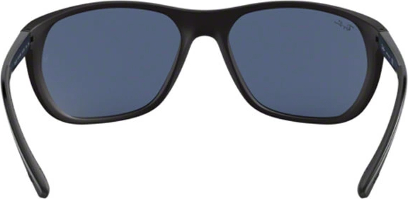   Ray-Ban RB4307 601S80