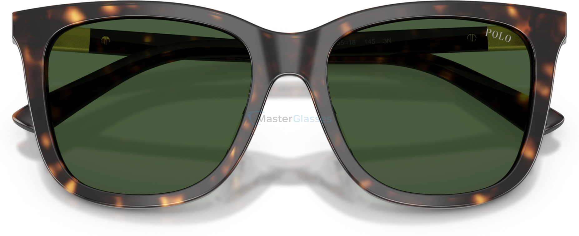   Polo PH4201U 500371 Tortoise