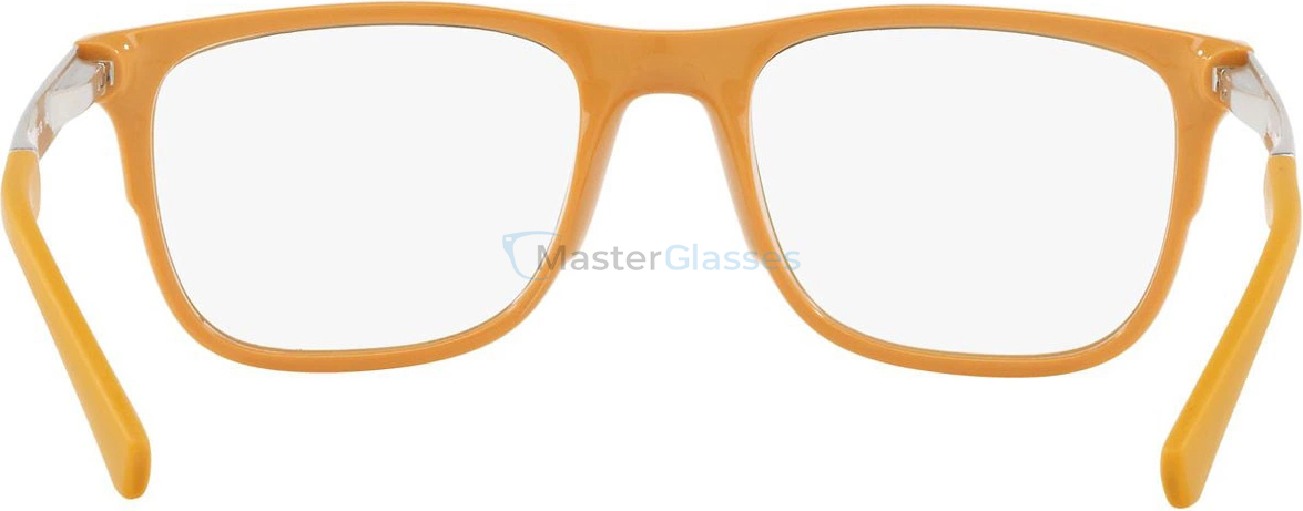  Emporio Armani EA3133 5042