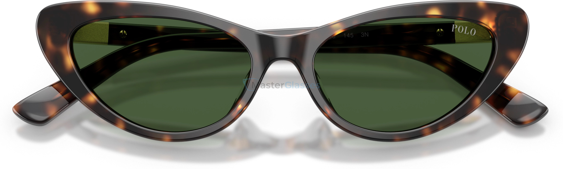   Polo PH4199U 500371 Tortoise