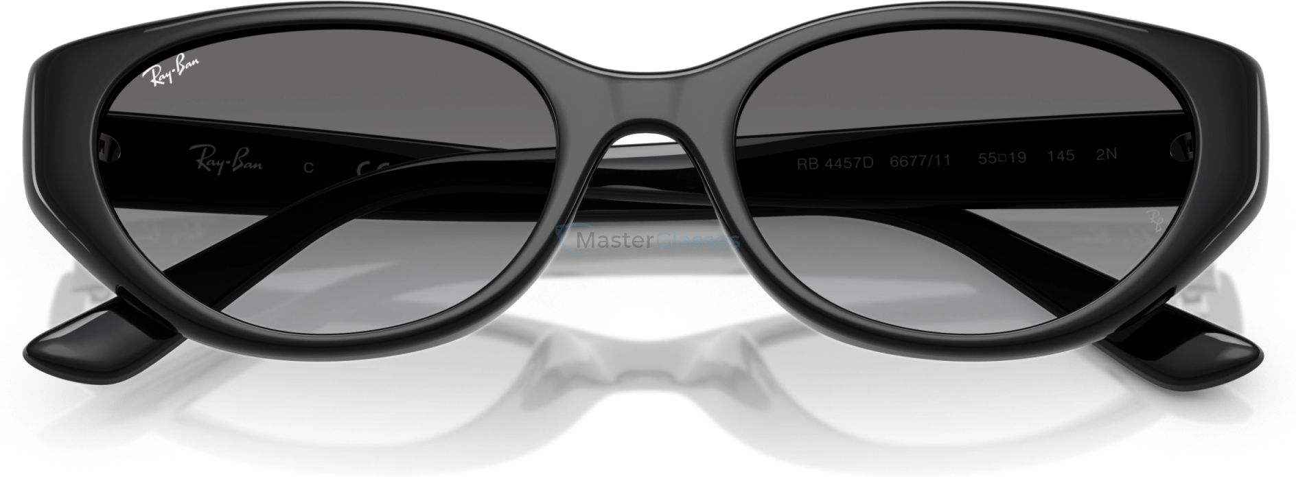   Ray-Ban RB4457D 667711 Black