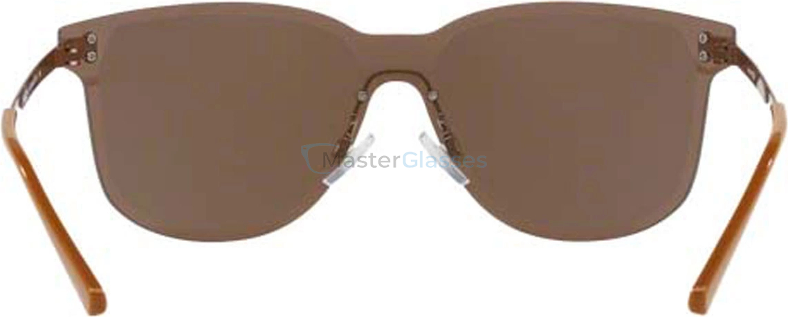 �������������� ���� Arnette Hundo-P2 AN3074 693/F9