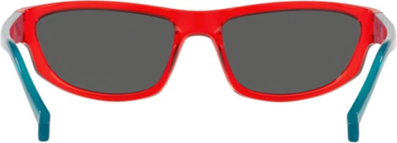 �������������� ���� Arnette Lost Boy AN4260 262887