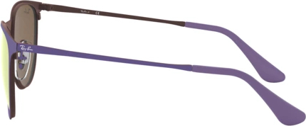 Солнцезащитные очки Ray-Ban Junior Erika Metal RJ9538S 252/2Y Rubber Brown/violet