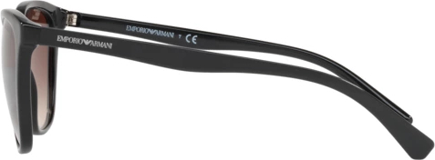   Emporio Armani EA4110 500113 Black