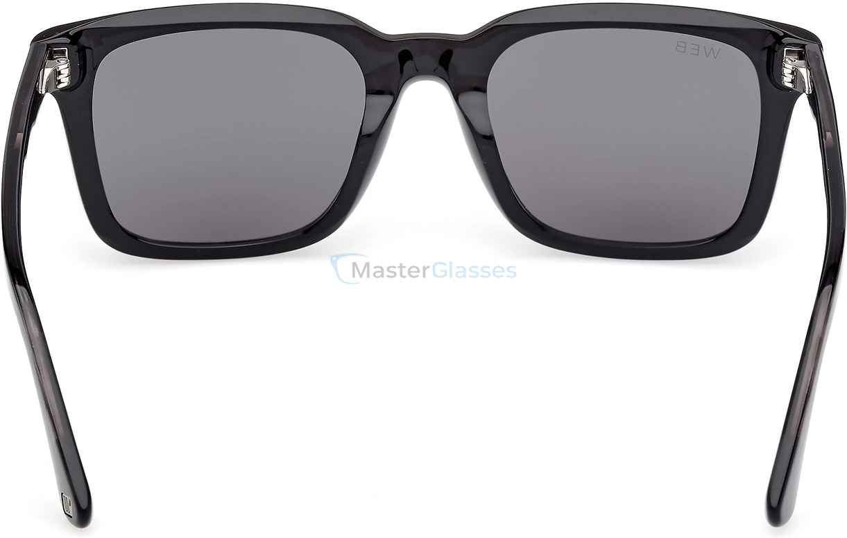   Web Eyewear WE 0388 01A 55