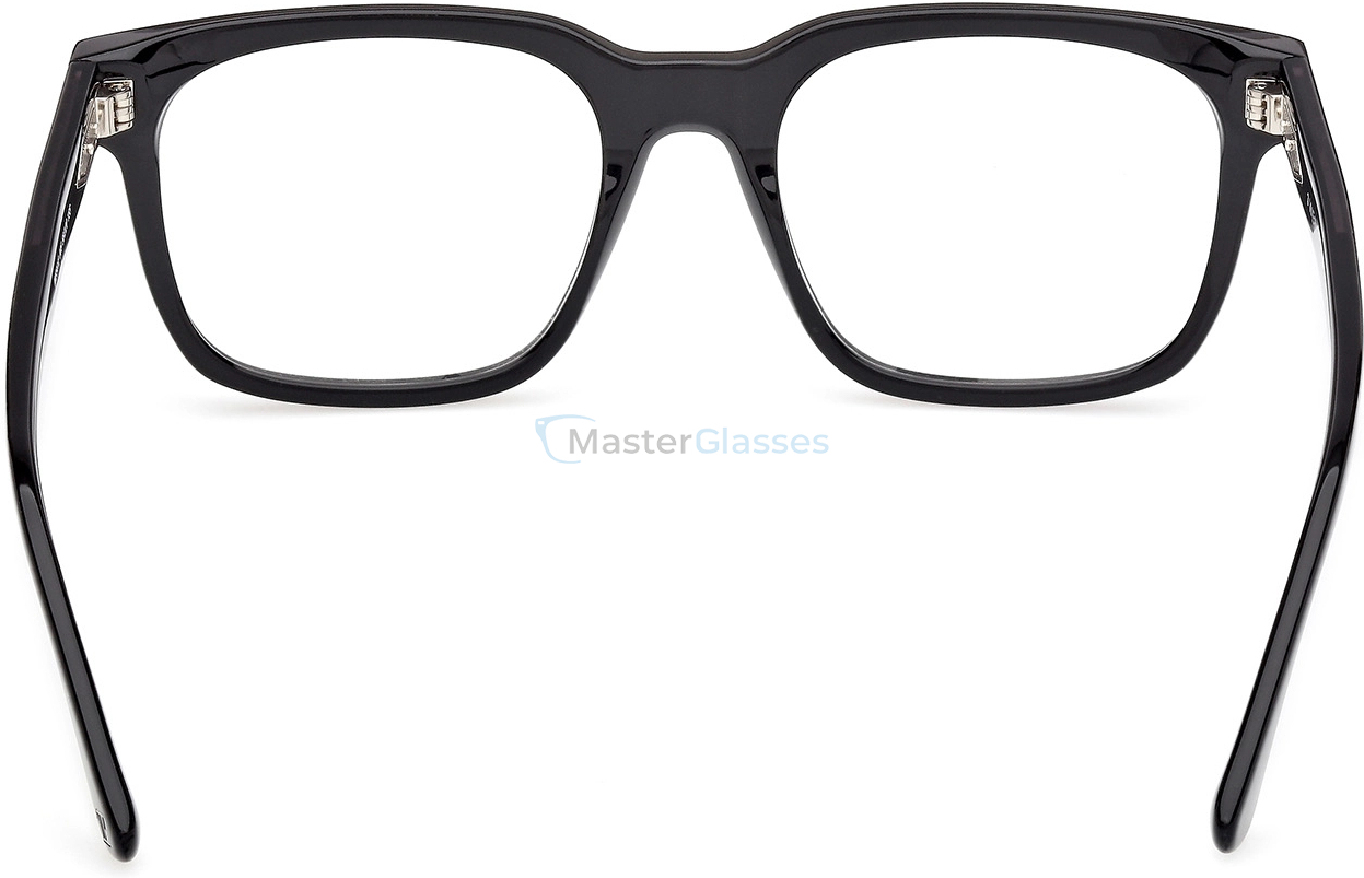  Web Eyewear WE 5412 005 56