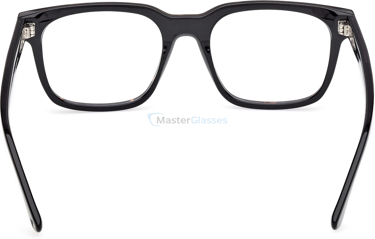  Web Eyewear WE 5412 056 56