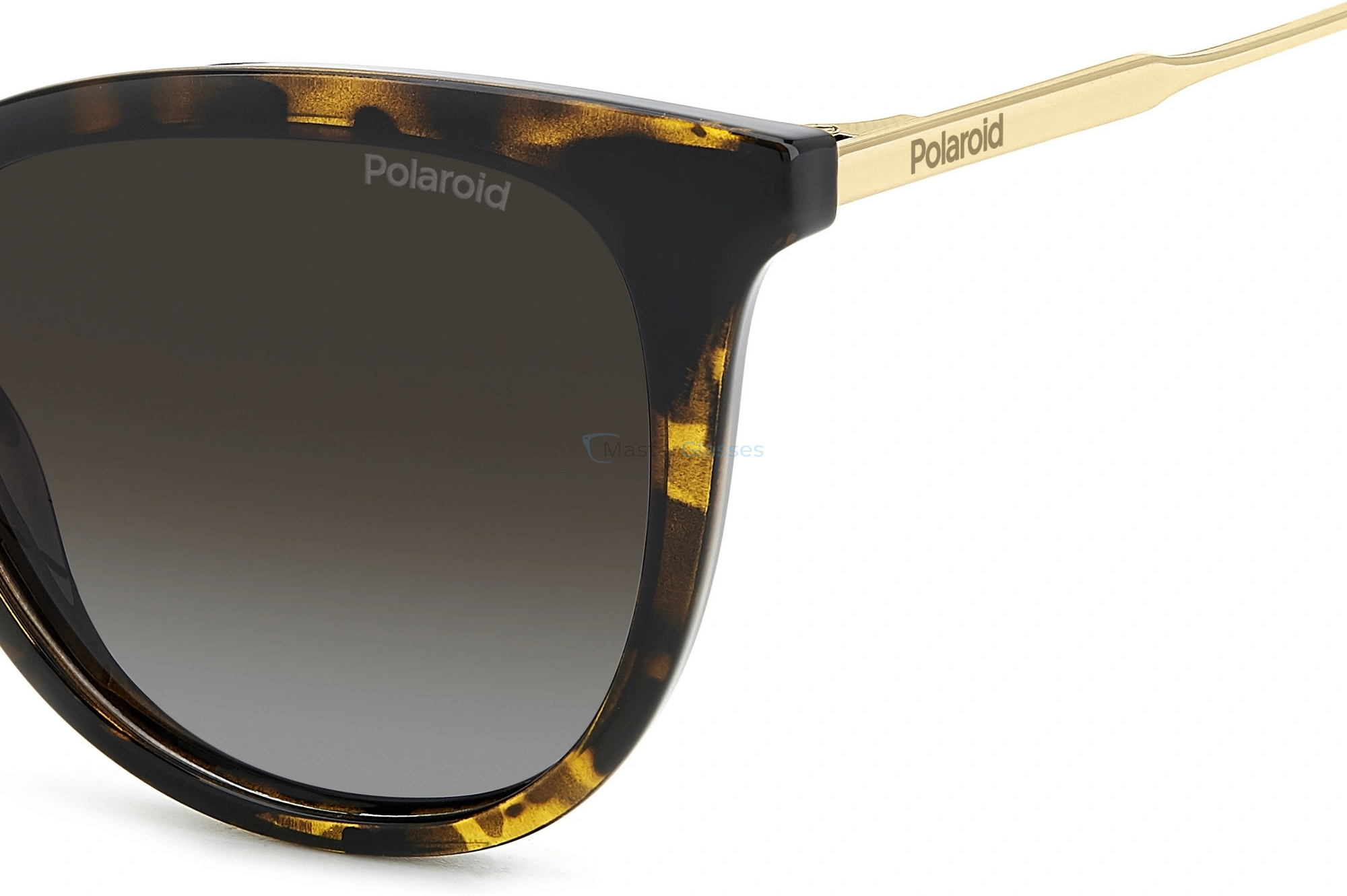   POLAROID PLD 4184/S/X 086 HAVANA