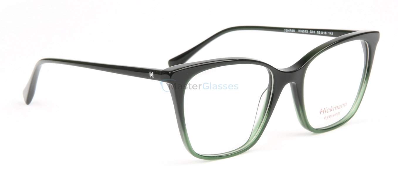  Hickmann HI6312, C01