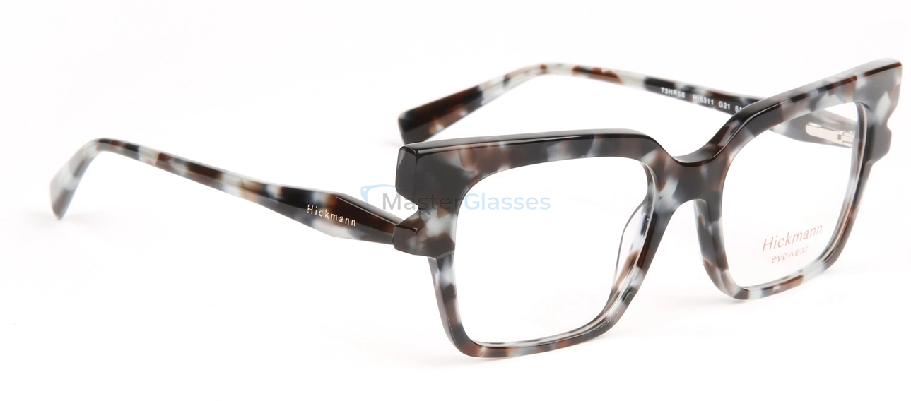  Hickmann HI6311, G21