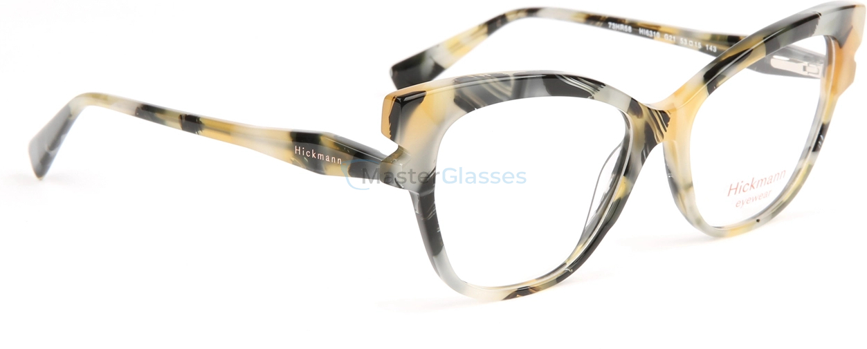  Hickmann HI6310, G21