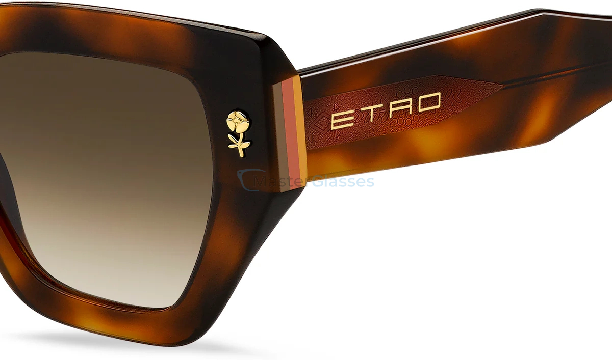   ETRO 0010/S 05L Havana 2