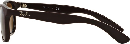 Солнцезащитные очки Ray-Ban RJ9062S 701473 Matte Brown