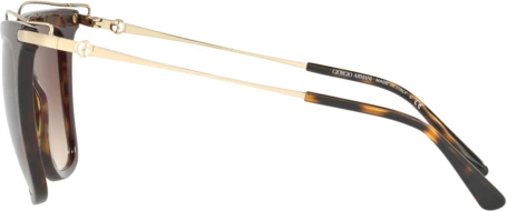 Солнцезащитные очки Giorgio Armani AR8091 502613 Dark Havana