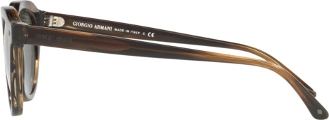 Солнцезащитные очки Giorgio Armani AR8093 559431 Striped Brown