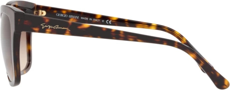   Giorgio Armani AR8106 502613 Dark Havana