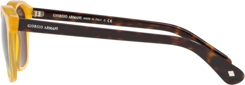 �������������� ���� Giorgio Armani AR8112 502773 Honey