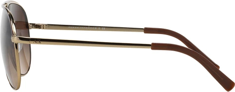 Солнцезащитные очки Armani Exchange AX2002 601013 Light Gold/dark Brown