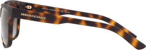 Солнцезащитные очки Armani Exchange AX4026S 8029T5 Matte Havana