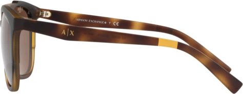 Солнцезащитные очки Armani Exchange AX4076S 802973 Matte Havana Brown