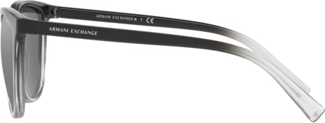 Солнцезащитные очки Armani Exchange AX4077S 82556G Black/transparent Smoke