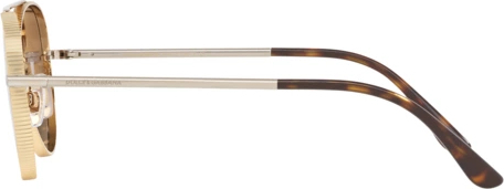 Солнцезащитные очки Dolce & Gabbana DG2199 131313 Gold/silver