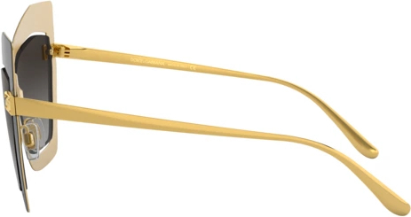 �������������� ���� Dolce & Gabbana DG2224 12688G Gold/black