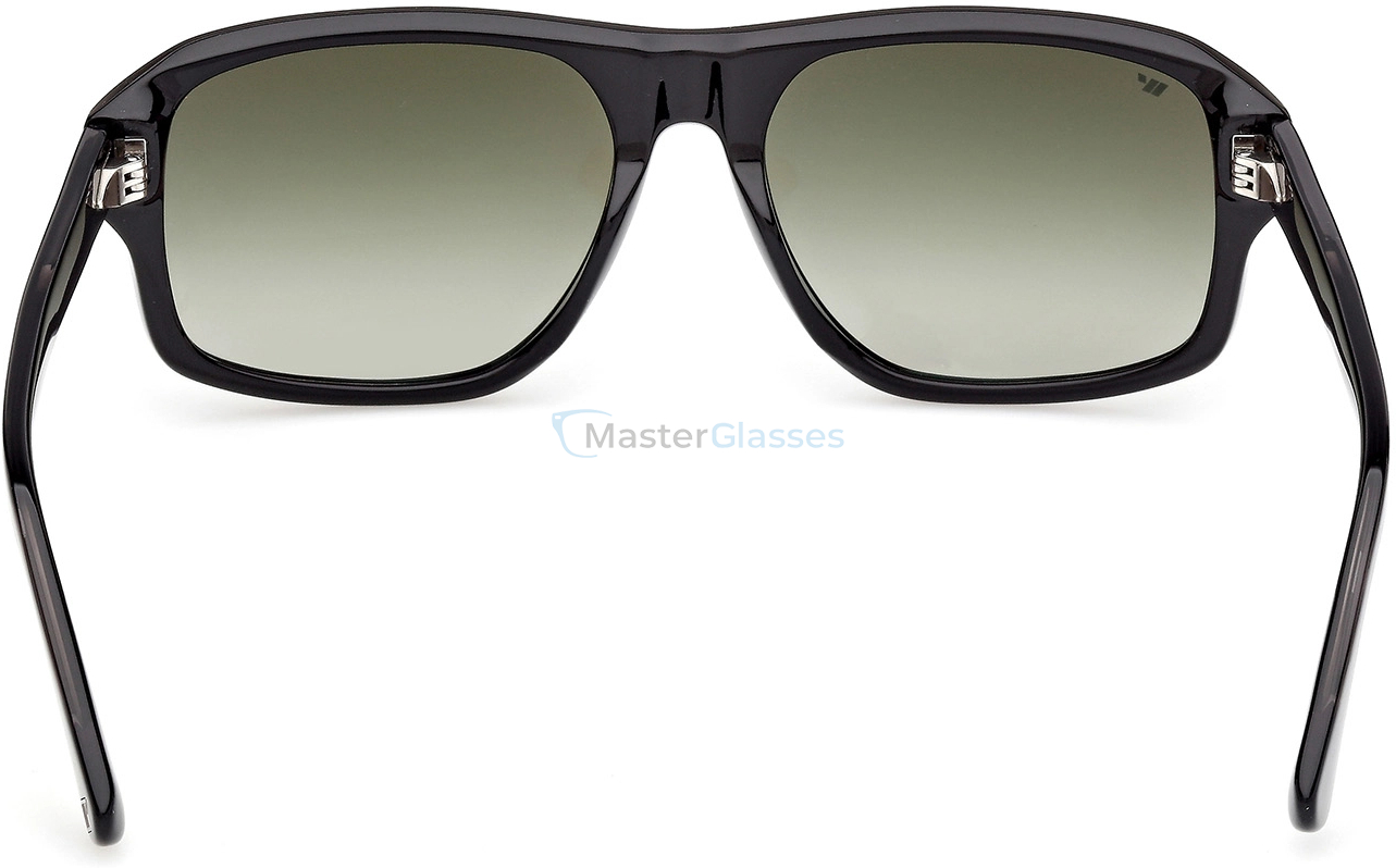   Web Eyewear WE 0393 01P 57