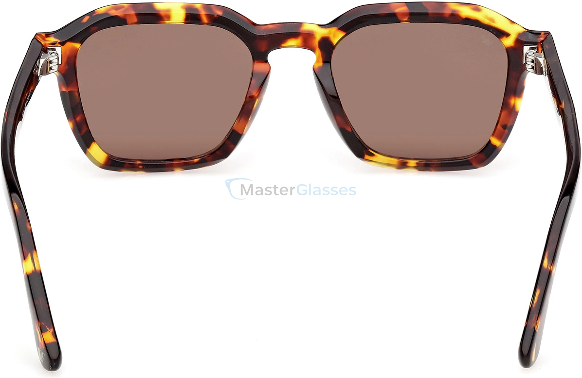   Web Eyewear WE 0392 55E 50