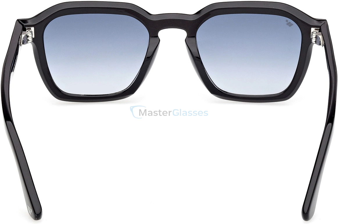   Web Eyewear WE 0392 01W 50